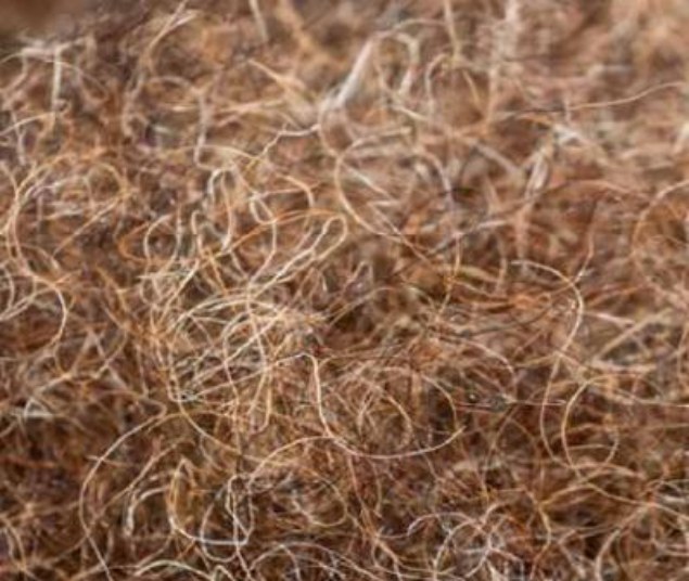 Black horsehair teased by hand into an even springy web