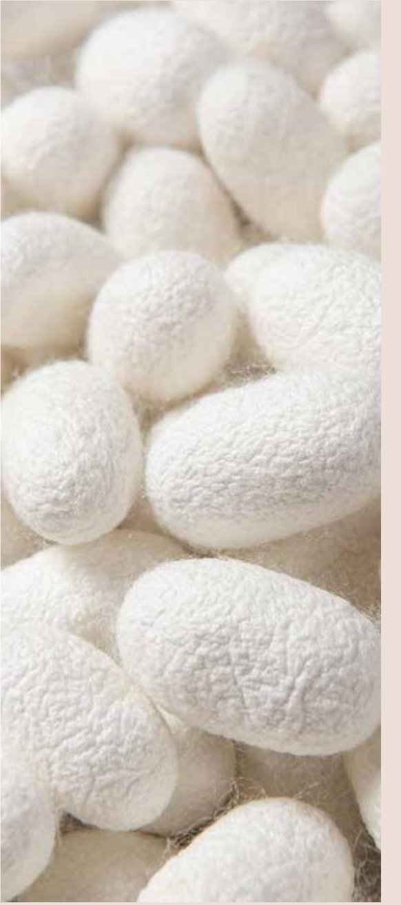 Double-cocoon silk ready for hand processing