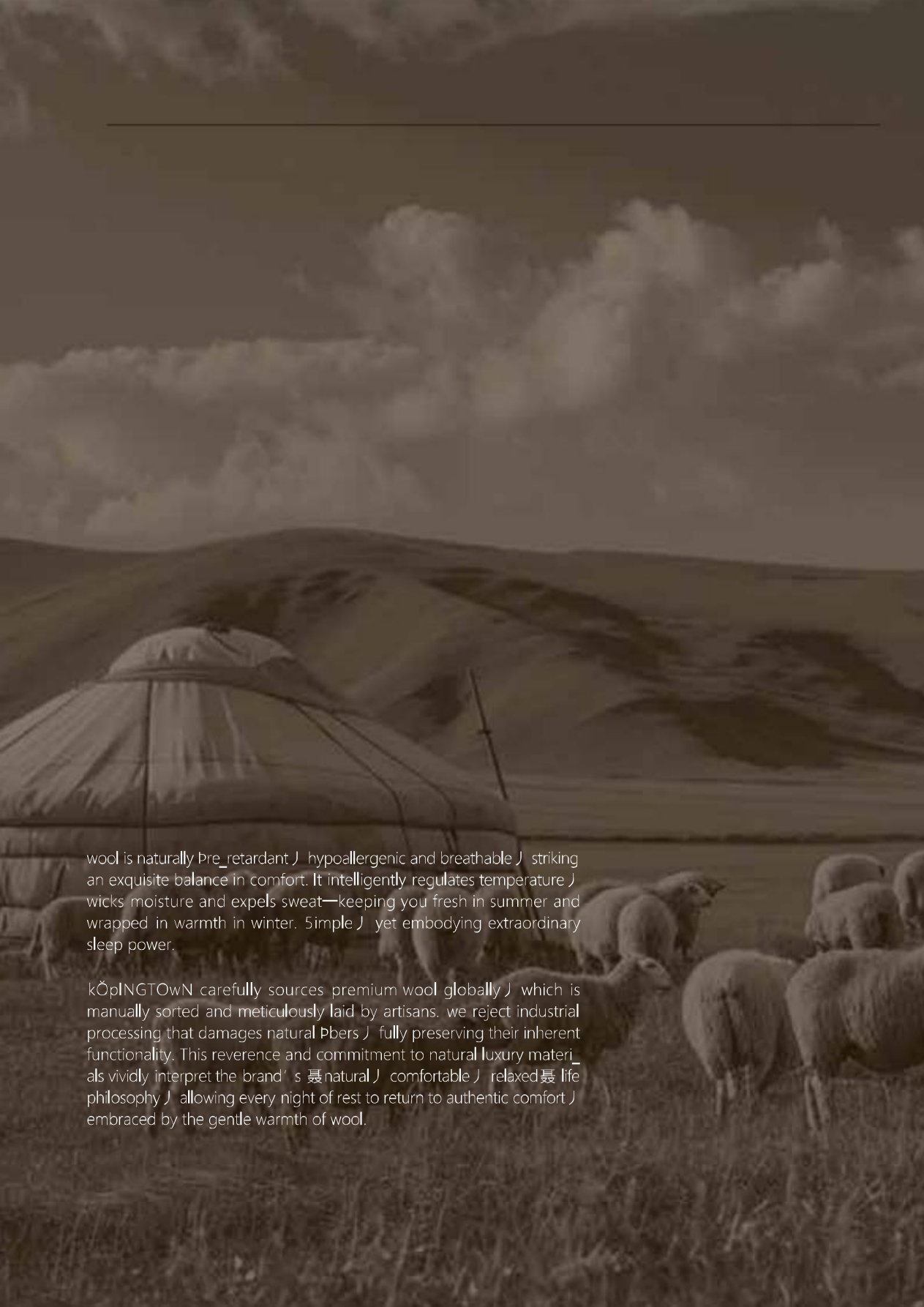 Sheep grazing on the steppe — the origin landscape of our natural fills